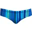 Funky Trunks Men's Classic Briefs Beam Bars